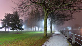 Foggy Confederation Park At Night P1030092.98.103