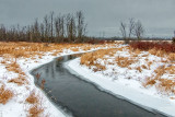 Wintry Otter Creek P1040109-11