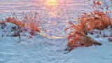 Lakeshore At Sunrise 20150120