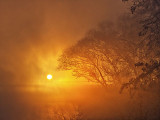 Foggy Sunrise P1080168-70