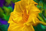 Yellow Orange Lily Art P1150012-4