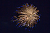 Canada Day 2015 (45481)