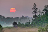 Red Sun Rising P1150679-81