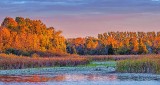 Otter Creek At Sunrise P1190722