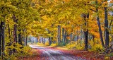 Autumn Back Road P1200254-6