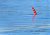 Red Channel Marker Locked In Blue Ice DSCF5666