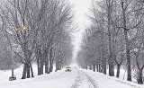 Snowy Gallipeau Centre Driveway P1010308-10