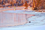 Otter On Ice At Sunrise P1020772.4