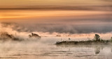 Misty Rideau Canal At Sunrise P1060610-4