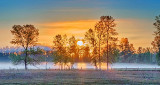 Sunrise Ground Fog P1100489-94