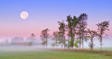 Sturgeon Moon Over Ground Fog P1100469-71