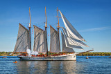 Tall Ships Festival 2016 (P1120362)
