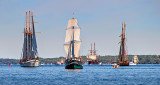 Tall Ships Festival 2016 (P1120293)