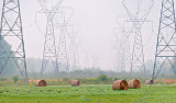 Towers & Bales P1120615-7