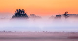 Ground Fog At Sunrise P1110799