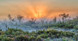 Sunrise Ground Fog P1120763-7