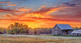Pasture & Barn In Sunrise P1130036-40