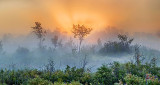 Sunrise Ground Fog P1120757-9