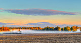 Autumnscape Ground Fog P1130313-5