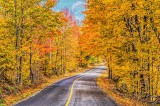 Autumn Back Road P1140518-20