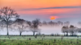 Sunrise Over Ground Fog P1150075-80