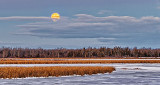 Setting Cold Moon P1160593-9