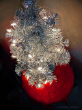 Shiny Little Christmas Tree DSCN01848-50