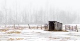 Horse Shelter On A Foggy Winter Day P1170550