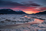 winter sunrise on the wetlands-5397.jpg