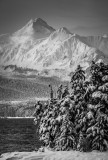 Snowy end to 2013-9757.jpg