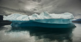 tracy arm bergs-0004.jpg