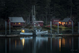 Safe Harbor-2227.jpg