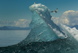 The perch-5327.jpg