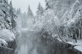 Cowee snow-0471.jpg