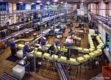 Tillamook Cheese Factory