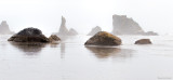 Misty Bandon 