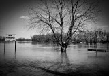 Port of St. Francisville - Ike Caldwell Landing