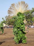 « FESTIMA, Festival des Masques », dancer from Dédougou, Burkina Faso