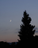 The Crescent Moon and Venus Setting