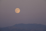 Grain Moon