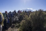Hiking toward Kilimajaro