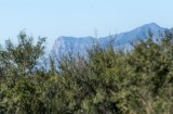 New Mexico's El Capitan