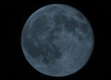 My Blue Moon