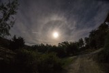 The Quarter Moon Halo with Flipped Orion