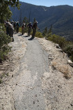 Old Big Oak Flat Road