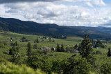 Hood River Orchards