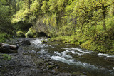 Eagle Creek
