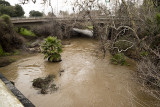 Coyote Creek