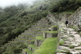 Le chemin des Incas