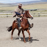 Zorro...